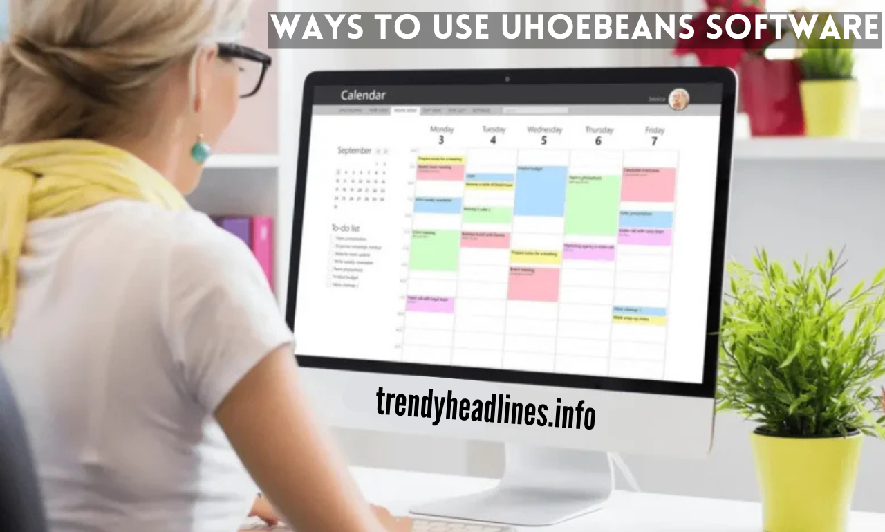 ways to use uhoebeans software