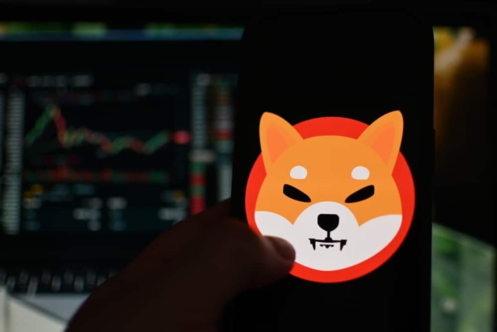 How to Buy Shiba Inu Crypto